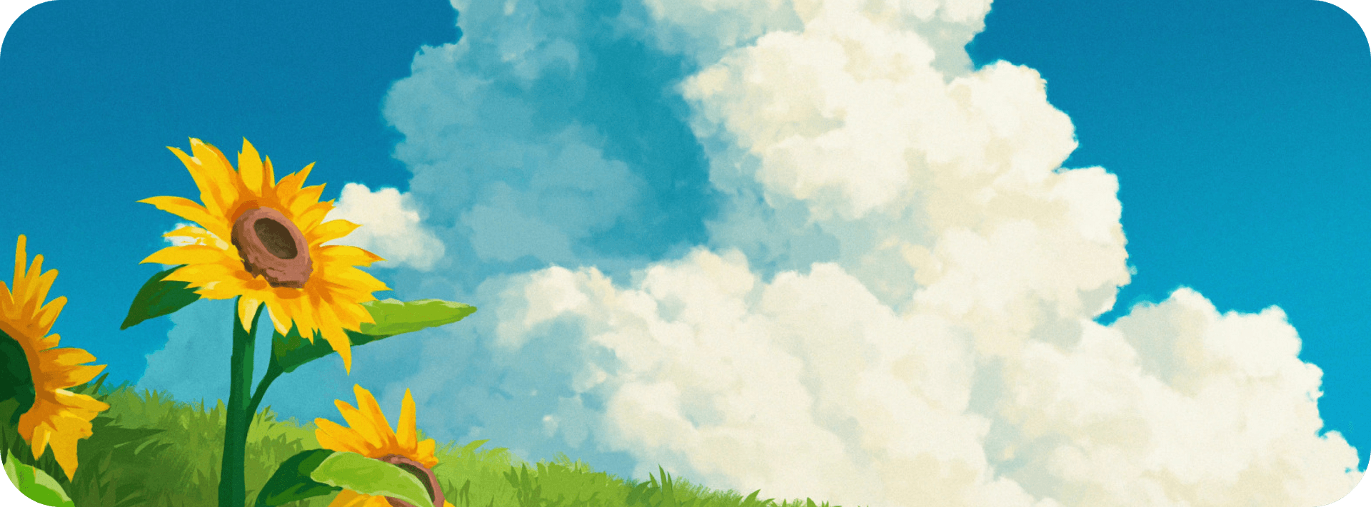 Sunflowers under blue sky